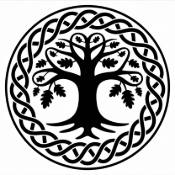 Symbol Monat Juli: Eiche